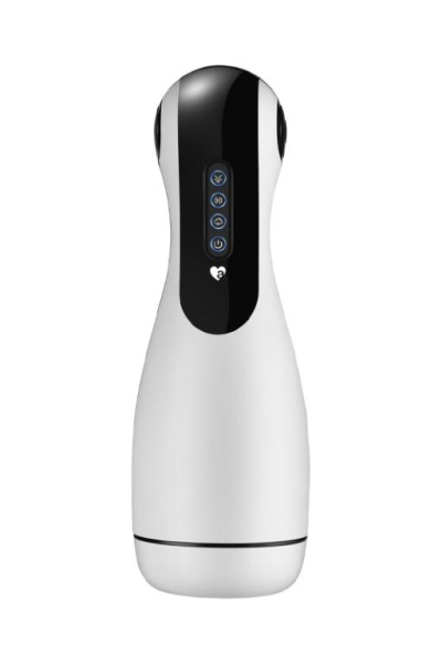 AM-V008-df-4