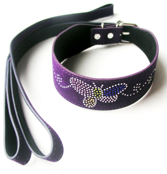 Ошейник с поводком фиолетовый Ошейник с поводком фиолетовый