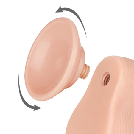 d2424bf996.jpg.500x500