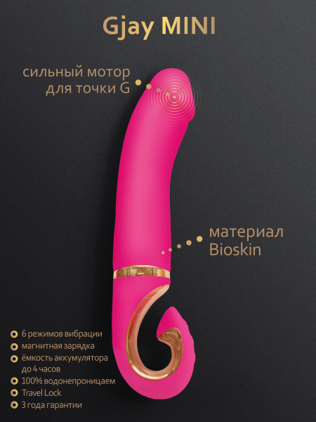 Gvibe_MiniVERS_GjayMINI_1350x1800_Features_RU_02