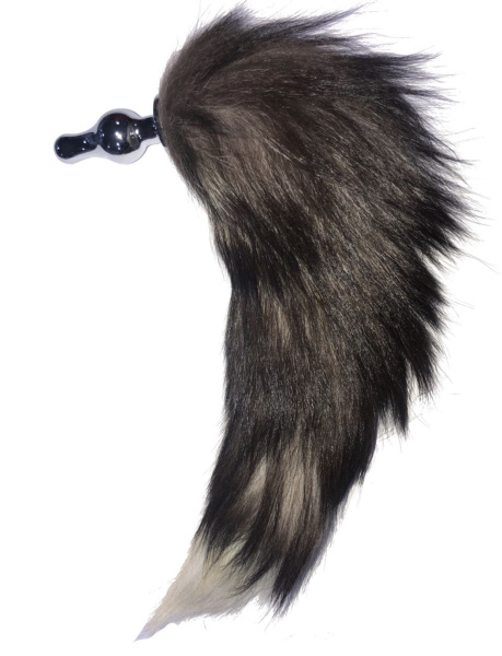 image-27-12-19-04-57-3