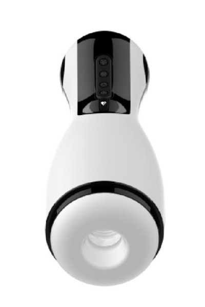 AM-V008-df-5