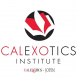 clexotics clexotics